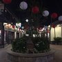 Photo of Caroline Maruya Acupuncture