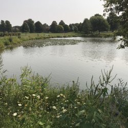 Oakwood Park - Beautiful day