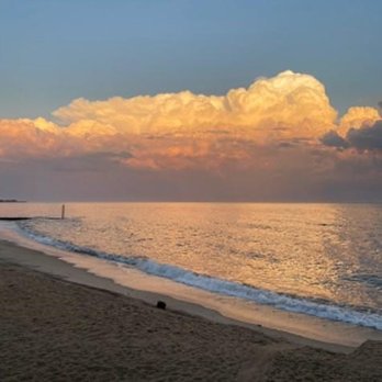 The Black Sheep - Niantic Beach walk - Pubs Near Me - Niantic, Connecticut