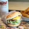 Habit Burger & Grill gift card