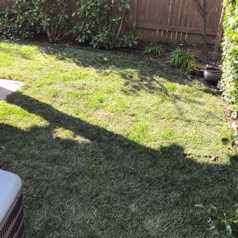 Joaquin Landscape - New sod in the backyard - Irrigation Near Me - Sacramento, California Joaquin Landscape - New sod in the backyard - Irrigation Near Me - Sacramento, California