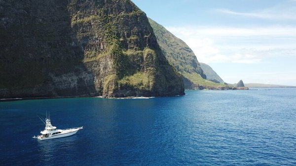 Ohana Yachts by null