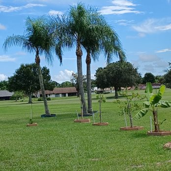 Lopez Tree Service - Tree Services Near Me - Stuart, Florida