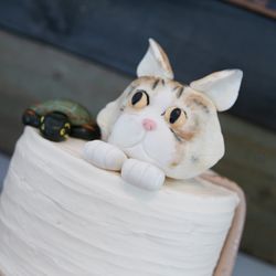 Oliver’s Desserts - Red velvet cake! They made figures of our cat, snake, and turtle!