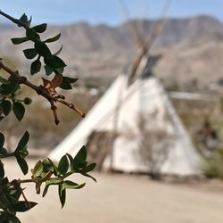 Kyle Martin's Joshua Tree Sound Baths