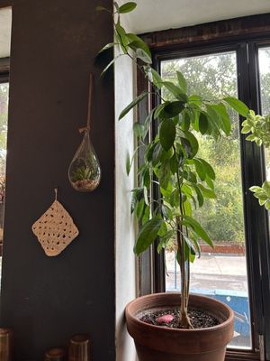 Ninth Street Espresso by null