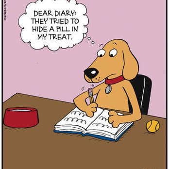 SAGE Veterinary Centers - Campbell - Dear Diary, They tried to hide a pill in my treat. - Veterinarians Near Me - Campbell, California SAGE Veterinary Centers - Campbell - Dear Diary, They tried to hide a pill in my treat. - Veterinarians Near Me - Campbell, California