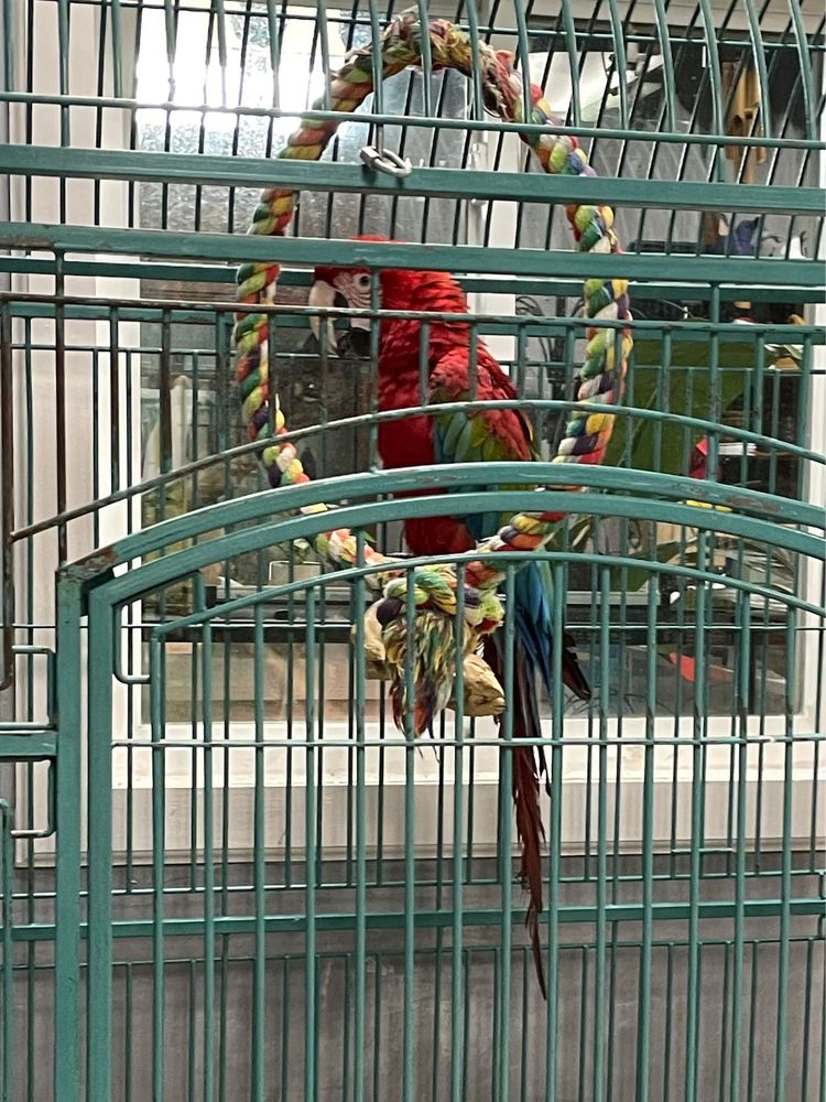 Eastern Exotics Wildlife, Gems & Oddities Image