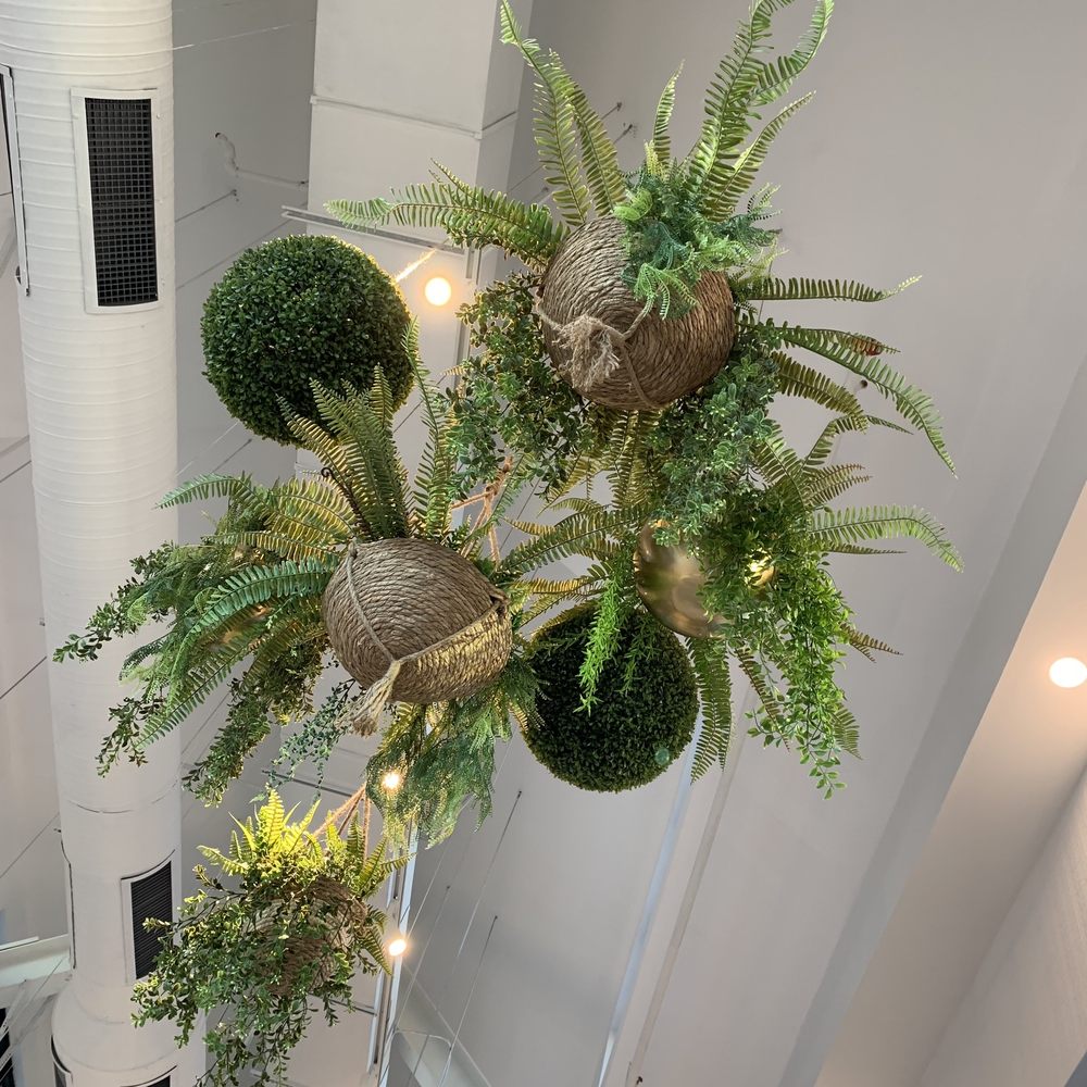Gregorys Coffee - Greenery hanging from the cathedral ceiling - Coffee & Tea Near Me - Darien, Connecticut