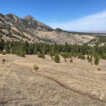 Doudy Draw Trail - Looking over Boulder and to Bear and south Boulder peaks - Hiking Near Me - Boulder, Colorado