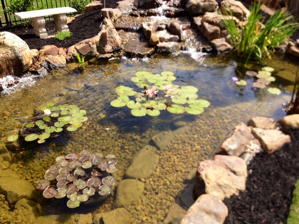 PRISTINE PONDS & HOMES Austin, TX Yelp