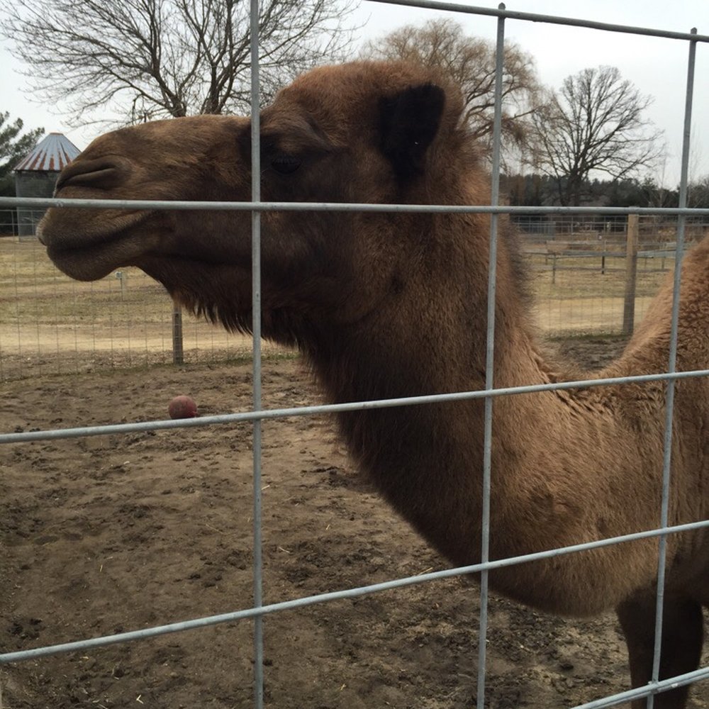 Williams Tree Farm - Venues & Event Spaces Near Me - Rockton, Illinois Williams Tree Farm - Venues & Event Spaces Near Me - Rockton, Illinois
