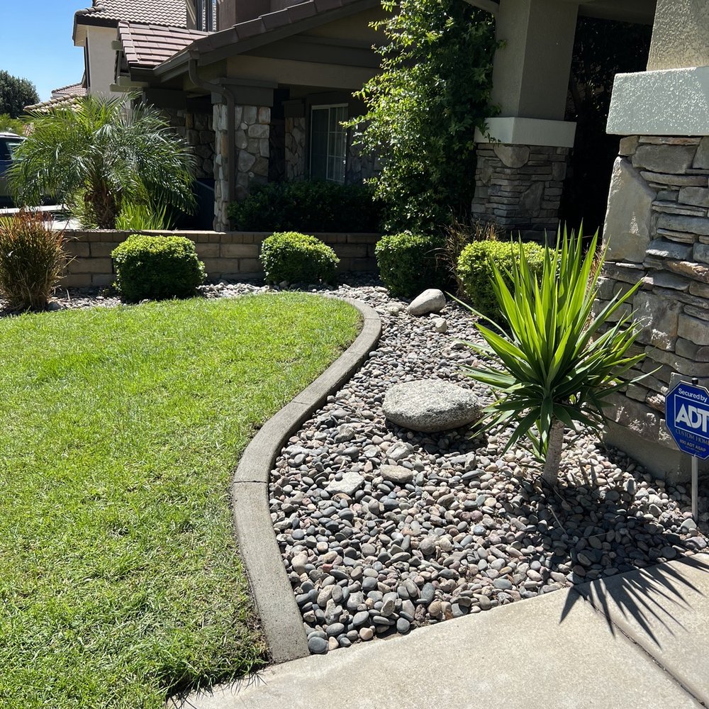 Andrade’s Landscaping and Tree Service - Concrete Border - Tree Services Near Me