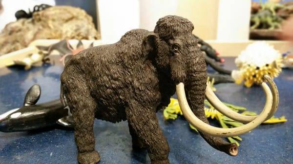 Sam Noble Oklahoma Museum of Natural History by null