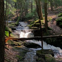 Chesterfield Gorge - Stream