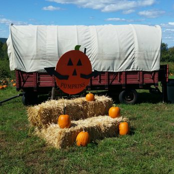 Westview Farm Creamery - Ice Cream & Frozen Yogurt Near Me - Monson, Massachusetts