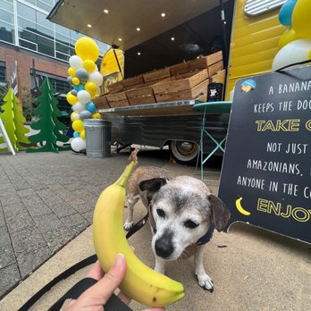 Community Banana Stand - a dog holding a banana - Fruits & Veggies Near Me - Seattle, Washington Community Banana Stand - a dog holding a banana - Fruits & Veggies Near Me - Seattle, Washington