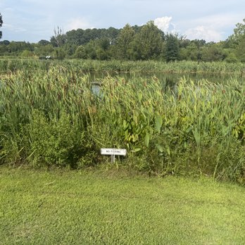 Page Ellington Park - Dog Parks Near Me - Columbia, South Carolina
