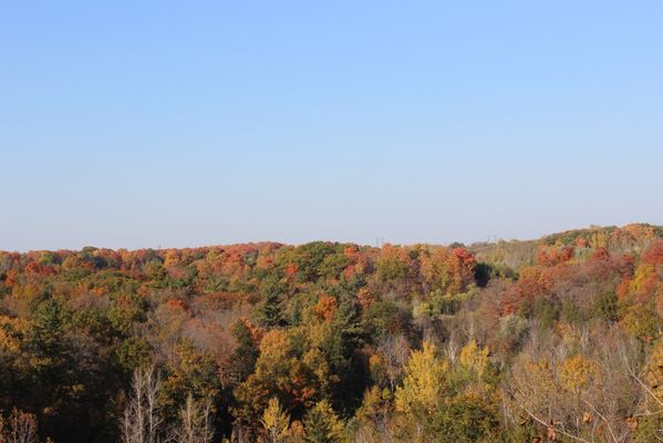 Rouge National Urban Park by null