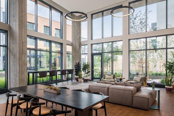 Mason on Mariposa by null