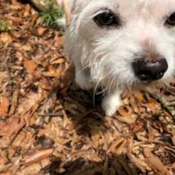 Conestee Park - That's the face of "we're leaving already"? - Parks Near Me - Greenville, South Carolina