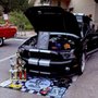 Photo of Committed Mobile Auto Detailing