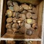 Photo of Bank Architectural Antiques
