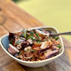 Bar Bocce - Grilled Spicy Calamari