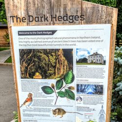 The Hedges Hotel - Information about The Dark Hedges near the Hedges Hotel parking lot