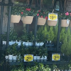 QFC - Get you summer flowers