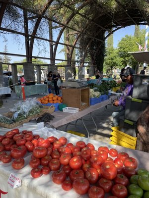 The Vineyard Farmer's Market by null
