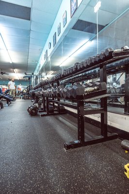 The Body Factory Health & Fitness Center by null