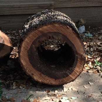 JW Tree & Land Service - Tree Services Near Me