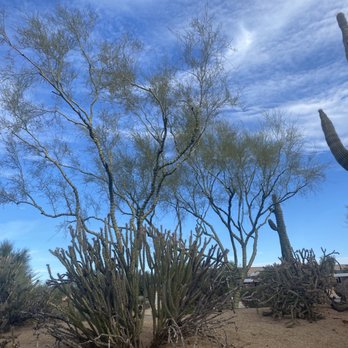 Sonoran Hills Park - Parks Near Me - Scottsdale, Arizona Sonoran Hills Park - Parks Near Me - Scottsdale, Arizona