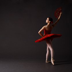 Salt Lake City Ballet - Professional training for the next generation of dancers.