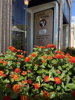 Blackbird Bakery by null