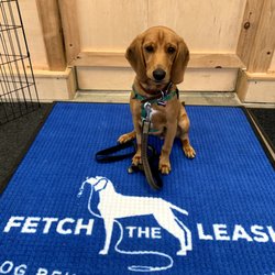 Fetch the Leash