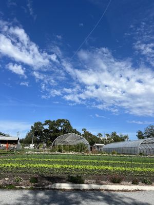 Meacham Urban Farm by null