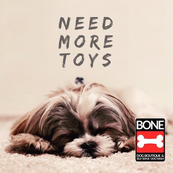 bone dog boutique