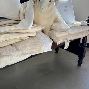 All American Mattress - Mattresses Near Me - Crossville, Tennessee All American Mattress - Mattresses Near Me - Crossville, Tennessee