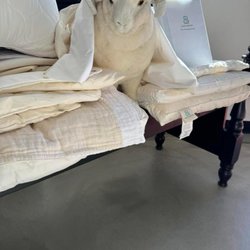 All American Mattress