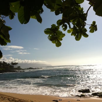 Laniakea Beach - Beaches Near Me - Haleiwa, Hawaii Laniakea Beach - Beaches Near Me - Haleiwa, Hawaii
