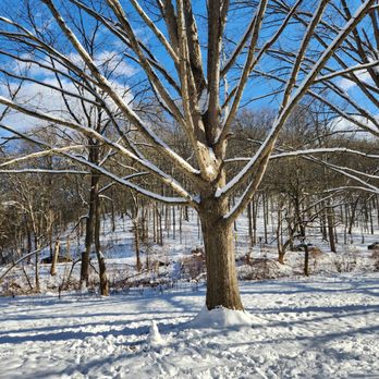 Rock Creek Park - Parks Near Me - Washington, DC, District of Columbia Rock Creek Park - Parks Near Me - Washington, DC, District of Columbia
