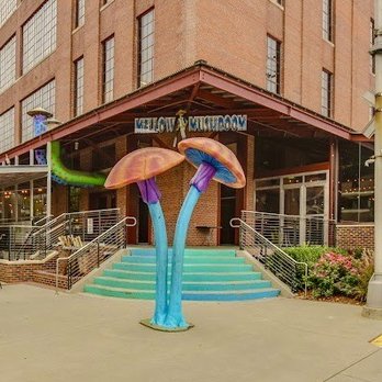 Mellow Mushroom - Pizza Near Me - Durham, North Carolina