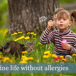 Allergy and Asthma Center