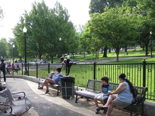 Boston Common Frog Pond by null