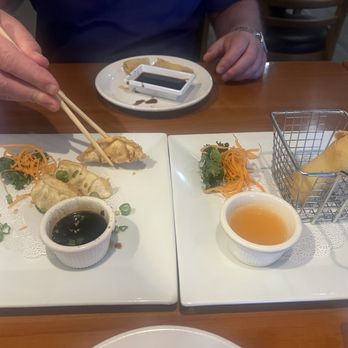Lighthouse Thai Sushi - Fried gyoza and spring rolls - Thai Near Me - Lighthouse Point, Florida