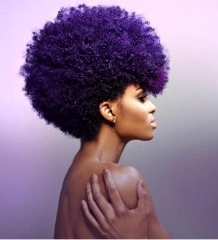 Natural Hair Authorithy Logo
