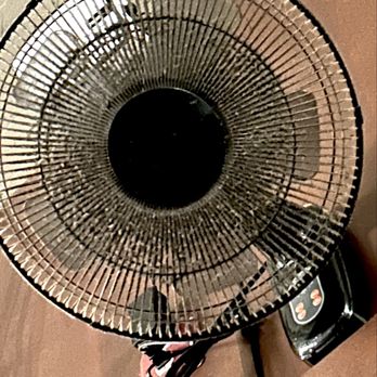 India Oven - Filthy fan above our booth, second to the left near entrance. - Indian Near Me - Mesa, Arizona India Oven - Filthy fan above our booth, second to the left near entrance. - Indian Near Me - Mesa, Arizona
