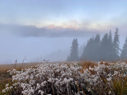 Hurricane Ridge by null